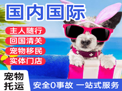 济南遥墙机场快运国际宠物托运 【国